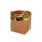 0.55mm Washble Kraft Paper Storage Bags Light Reusable Paper Bag Seedling Pots