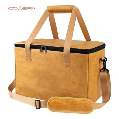 Factory Direct DuPont/Tyvek Paper BBQ Insulated Bag with Zipper Opening Large Capacity Meat Beverage Storage Insulated Bag